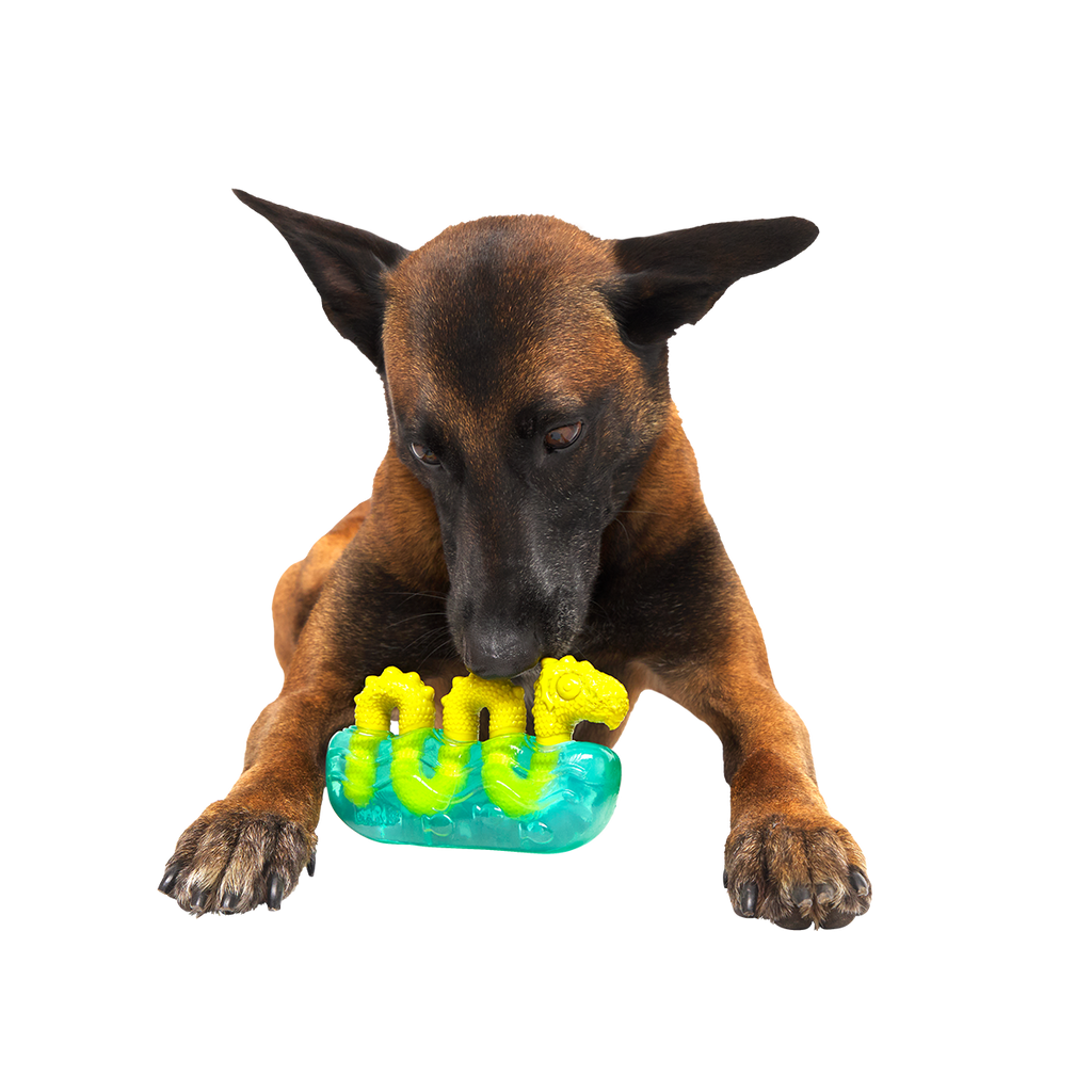 Dog Chew Toy product image 2