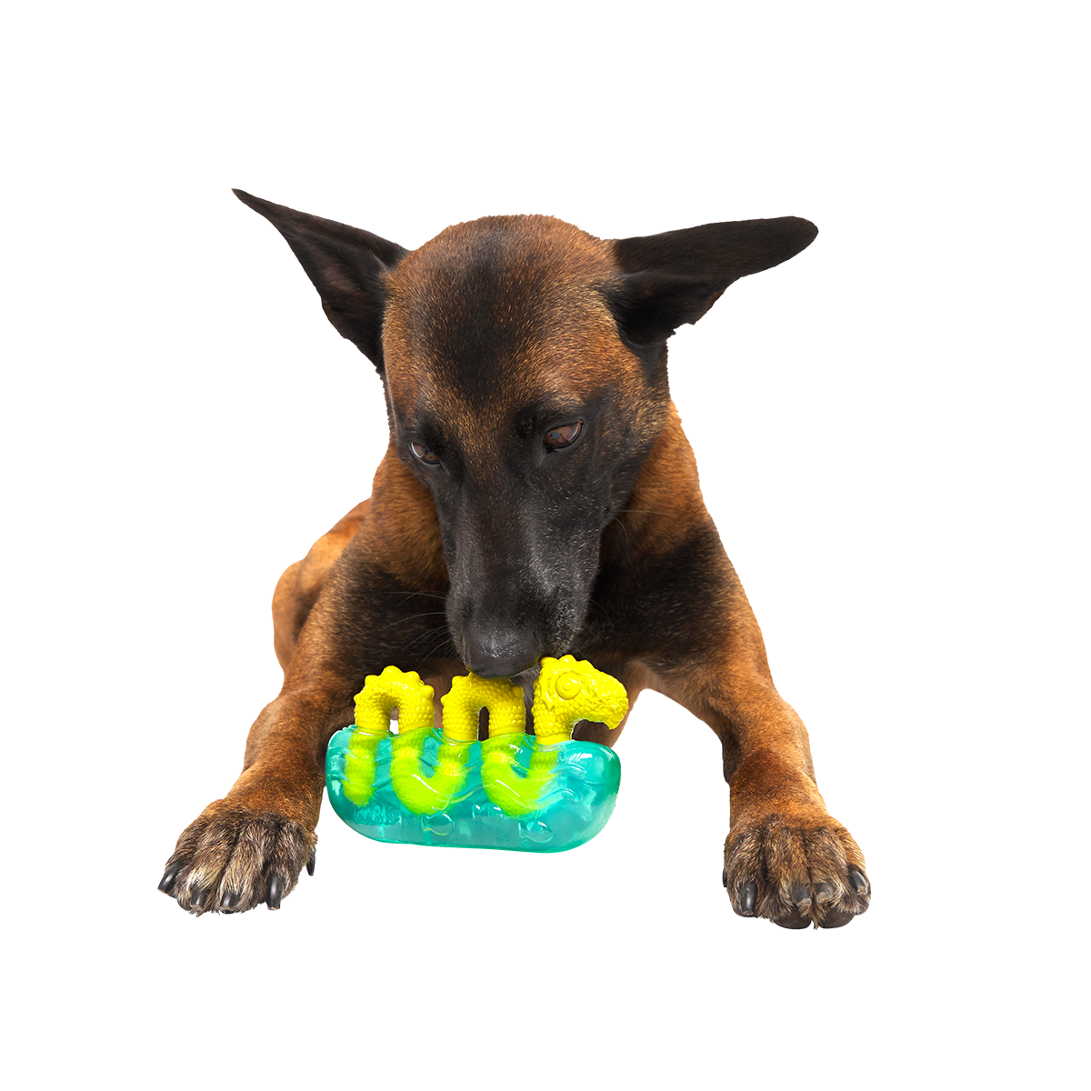 Dog Chew Toy product image 2