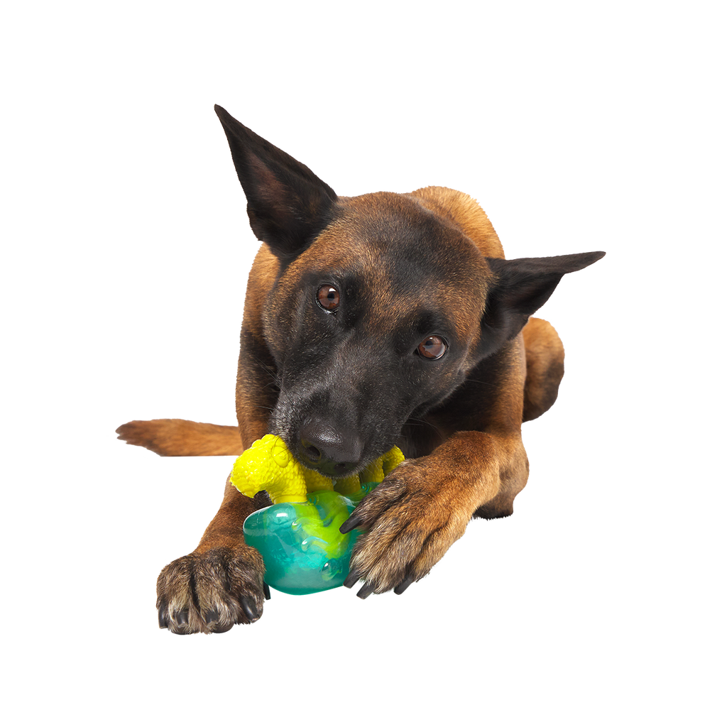 Dog Chew Toy product image 3