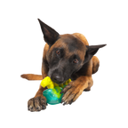 Dog Chew Toy product image 3