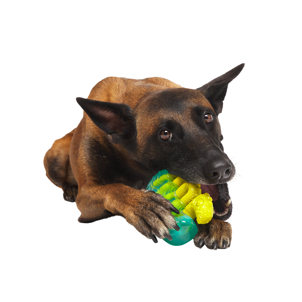 Dog Chew Toy product image 4