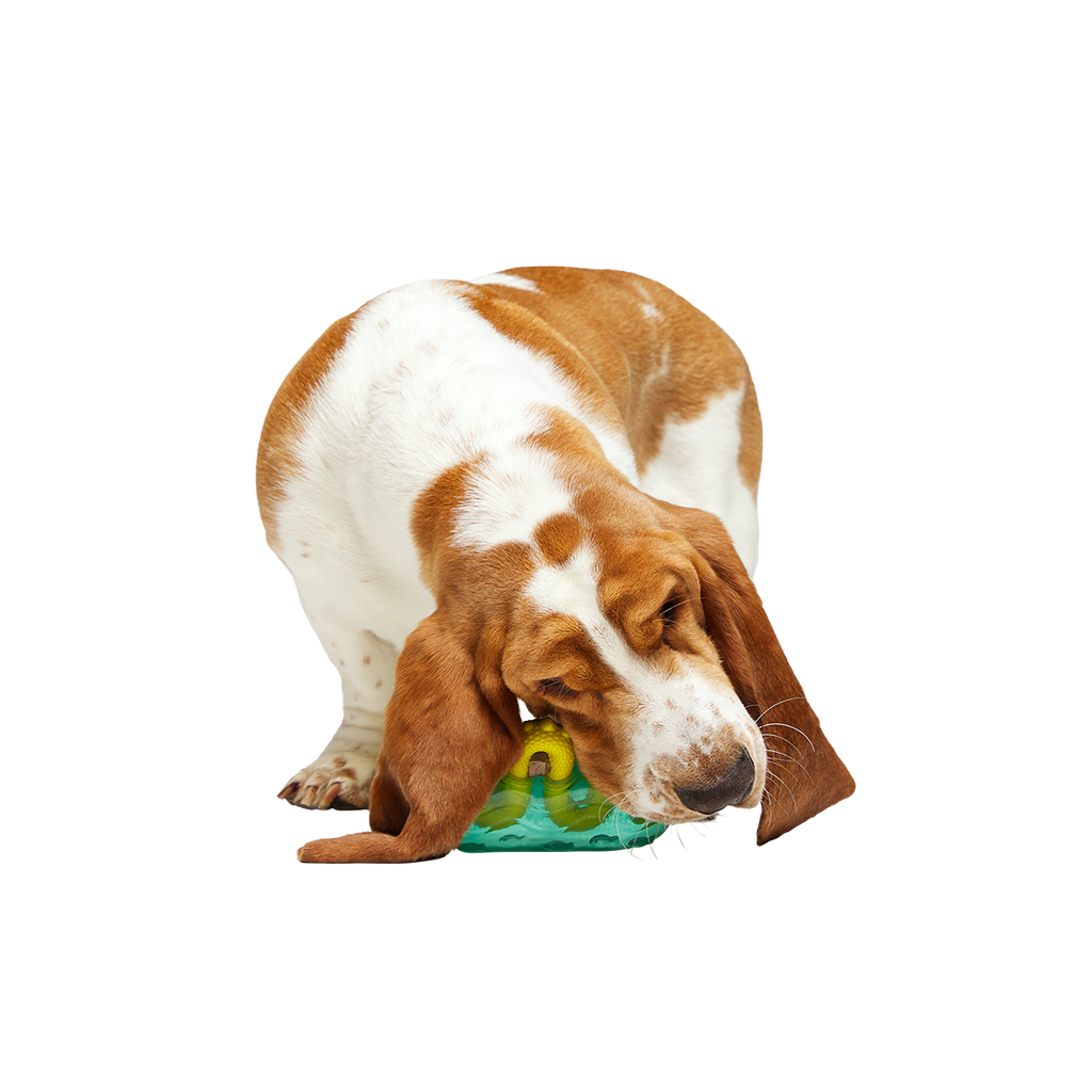 Dog Chew Toy product image 5