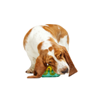 Dog Chew Toy product image 5