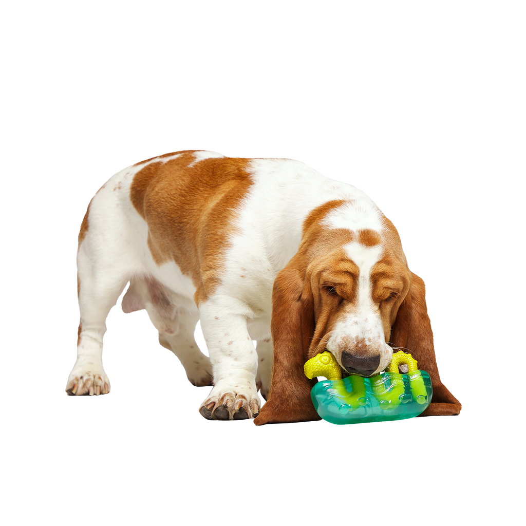 Dog Chew Toy product image 6
