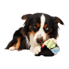 Dog Chew Toy product image 2