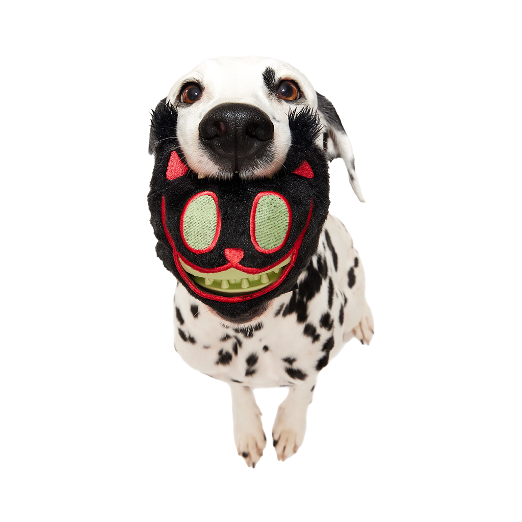 Dog Chew Toy product image 4