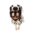 Dog Chew Toy product image 4