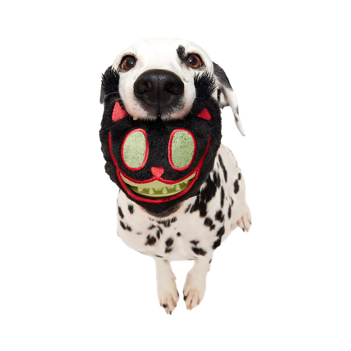 Dog Chew Toy product image 4