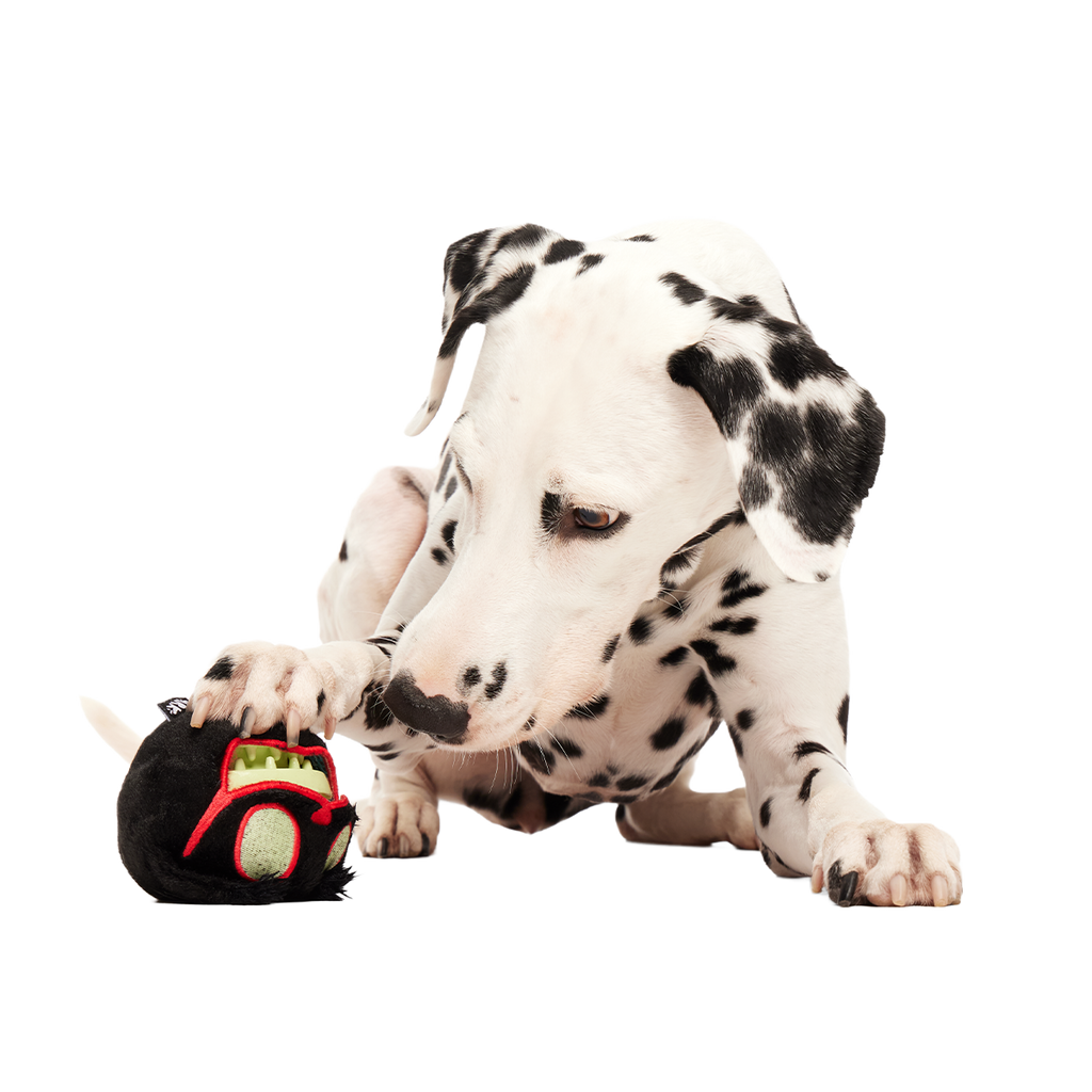 Dog Chew Toy product image 5