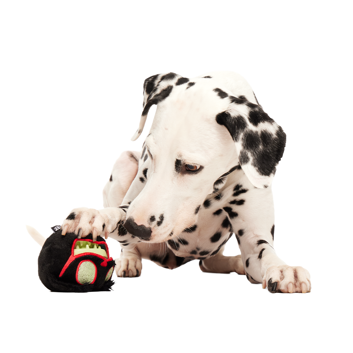 Dog Chew Toy product image 5
