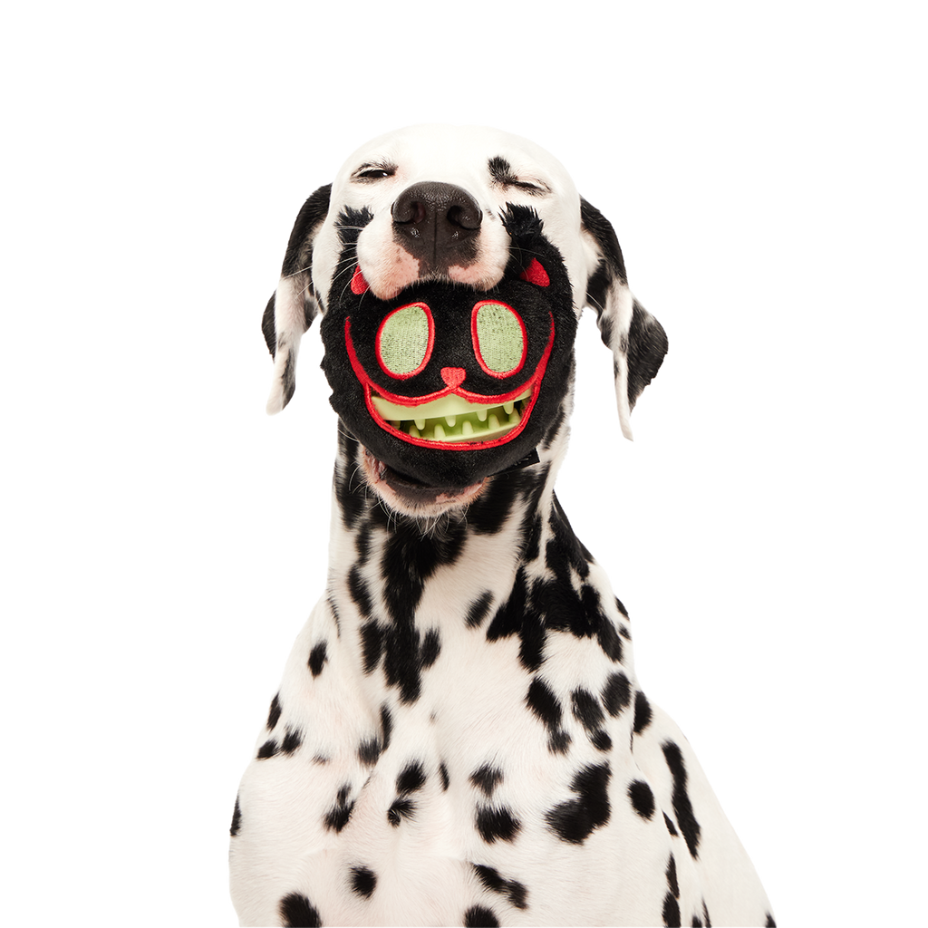 Dog Chew Toy product image 6