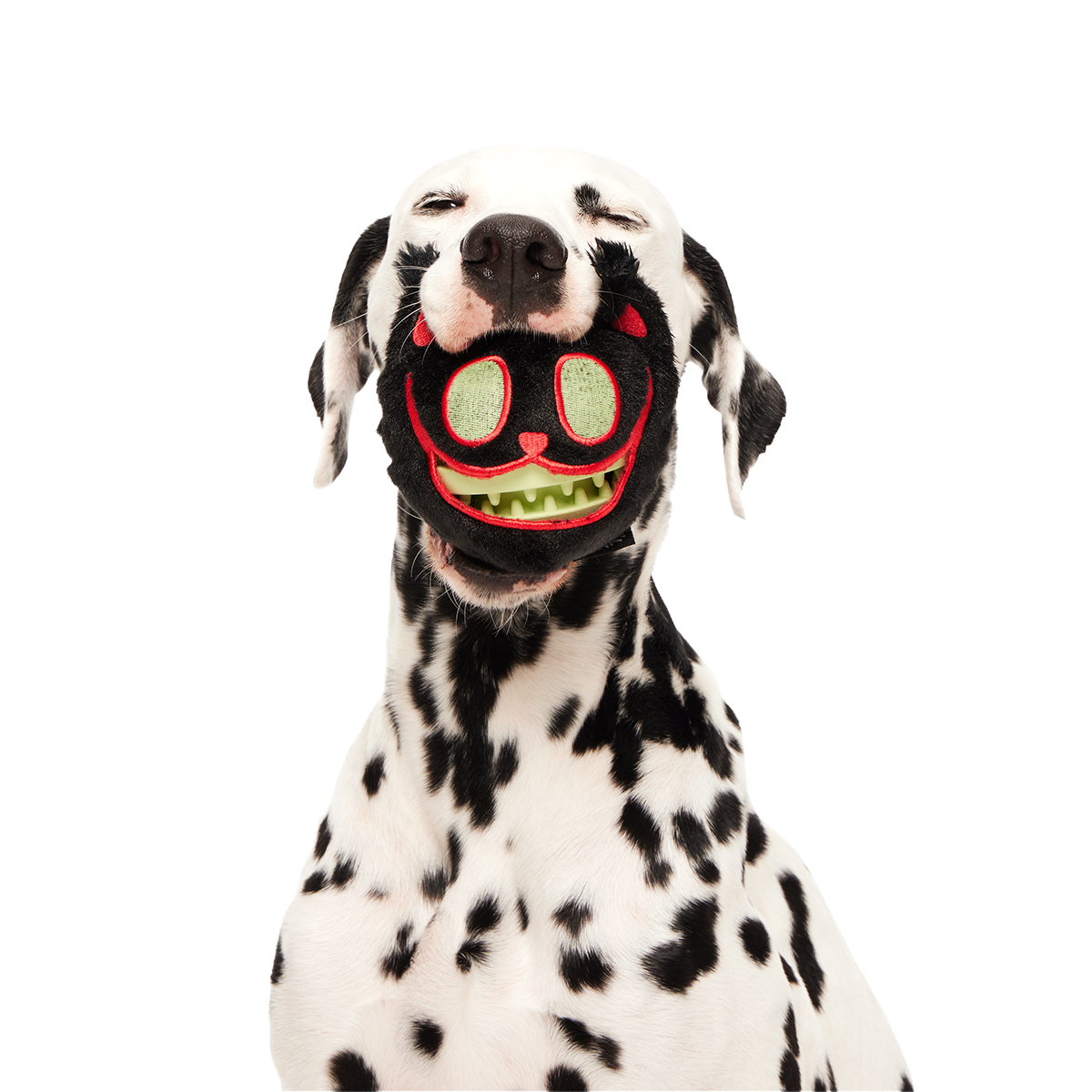 Dog Chew Toy product image 6