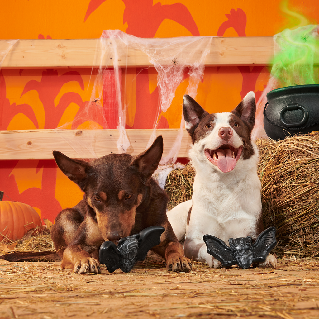 Dog Chew Toy product image 3