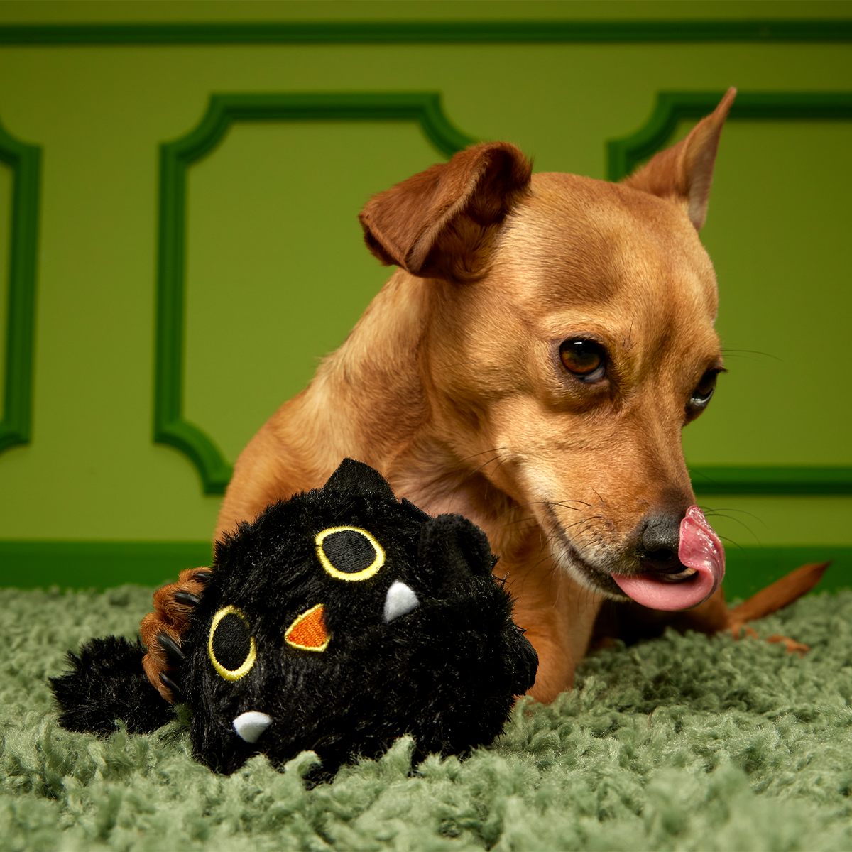 Dog Tug and Fetch Toy product image 4