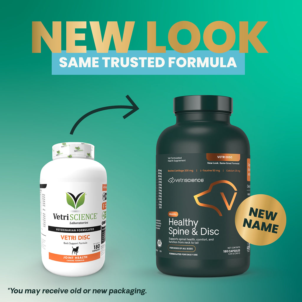 Dog Spine Supplement product image 2