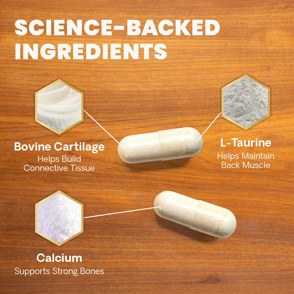 Dog Spine Supplement product image 5