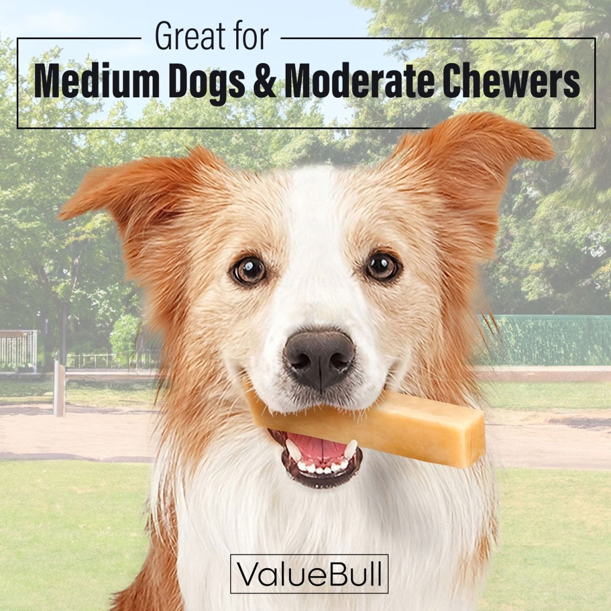 Yak Cheese Dog Chews product image 2