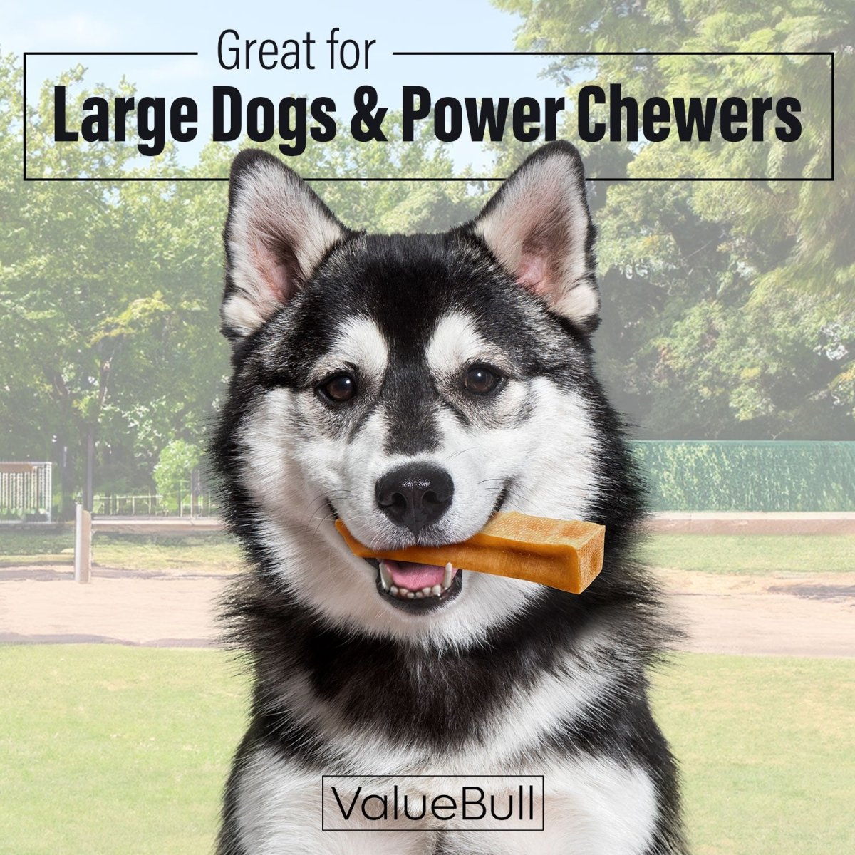 Yak Cheese Dog Chews product image 2