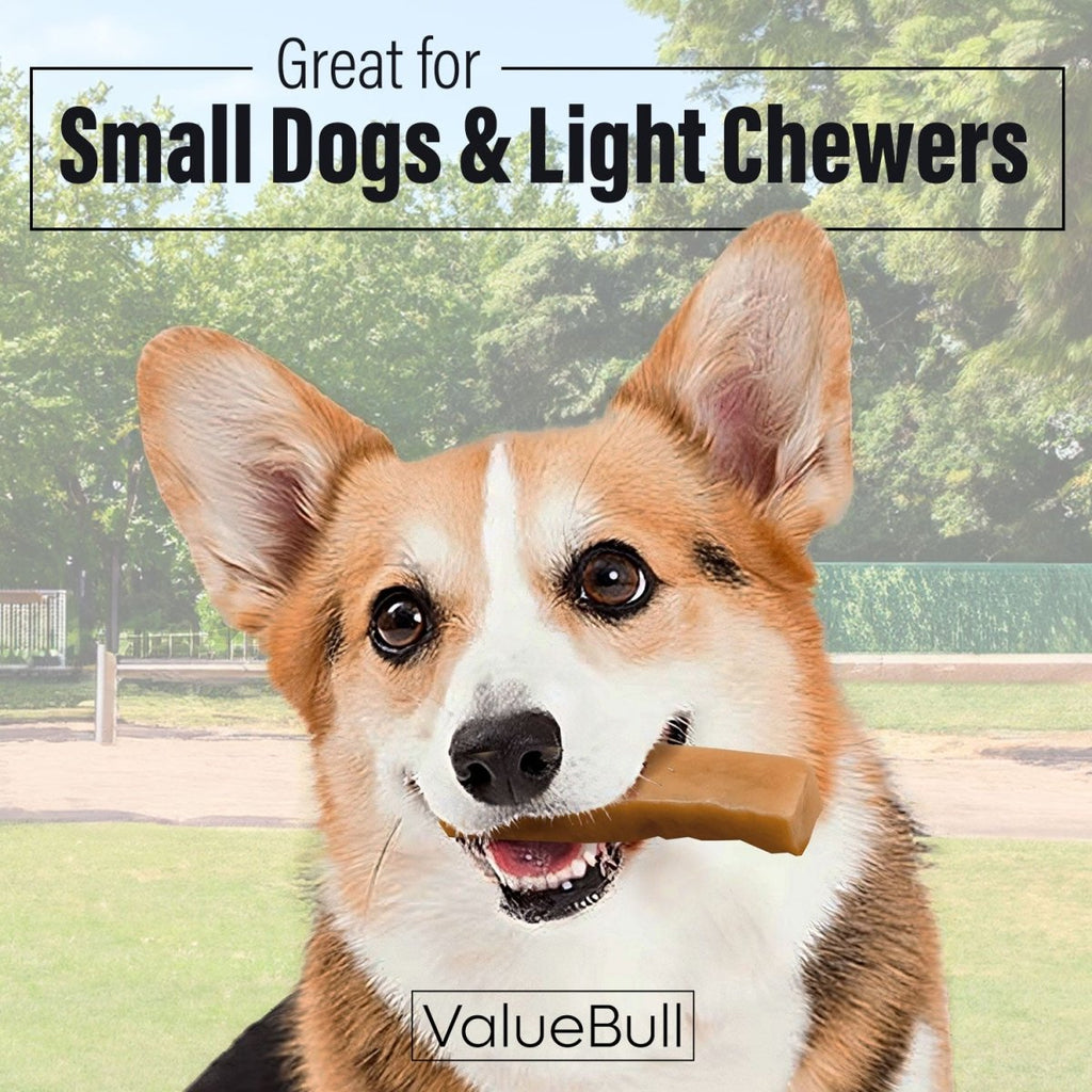 Yak Cheese Dog Chews product image 2