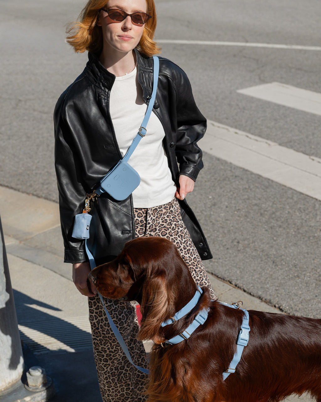 Dog Harness product image 2
