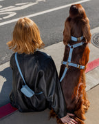Dog Harness product image 4