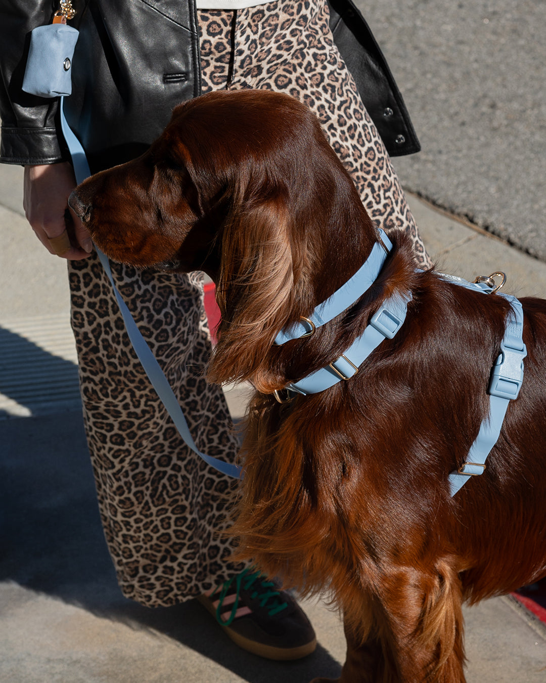 Dog Harness product image 5