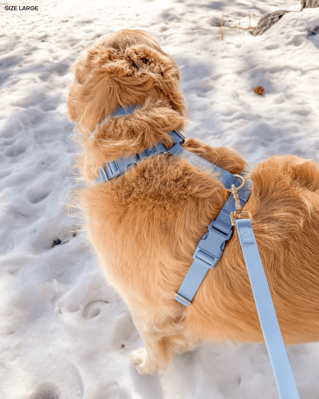 Dog Harness product image 6
