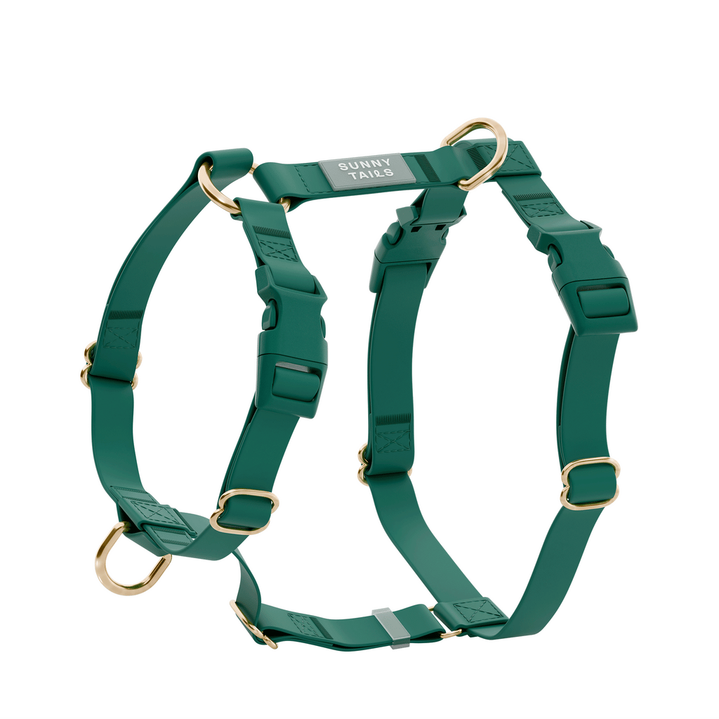 Meadow Green Waterproof No-Pull Dog Harness product image 1