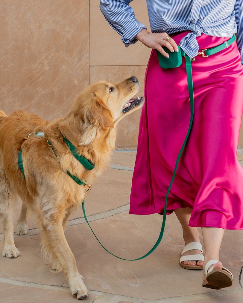 Meadow Green Waterproof No-Pull Dog Harness product image 2