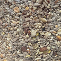 Bird Food product image 1