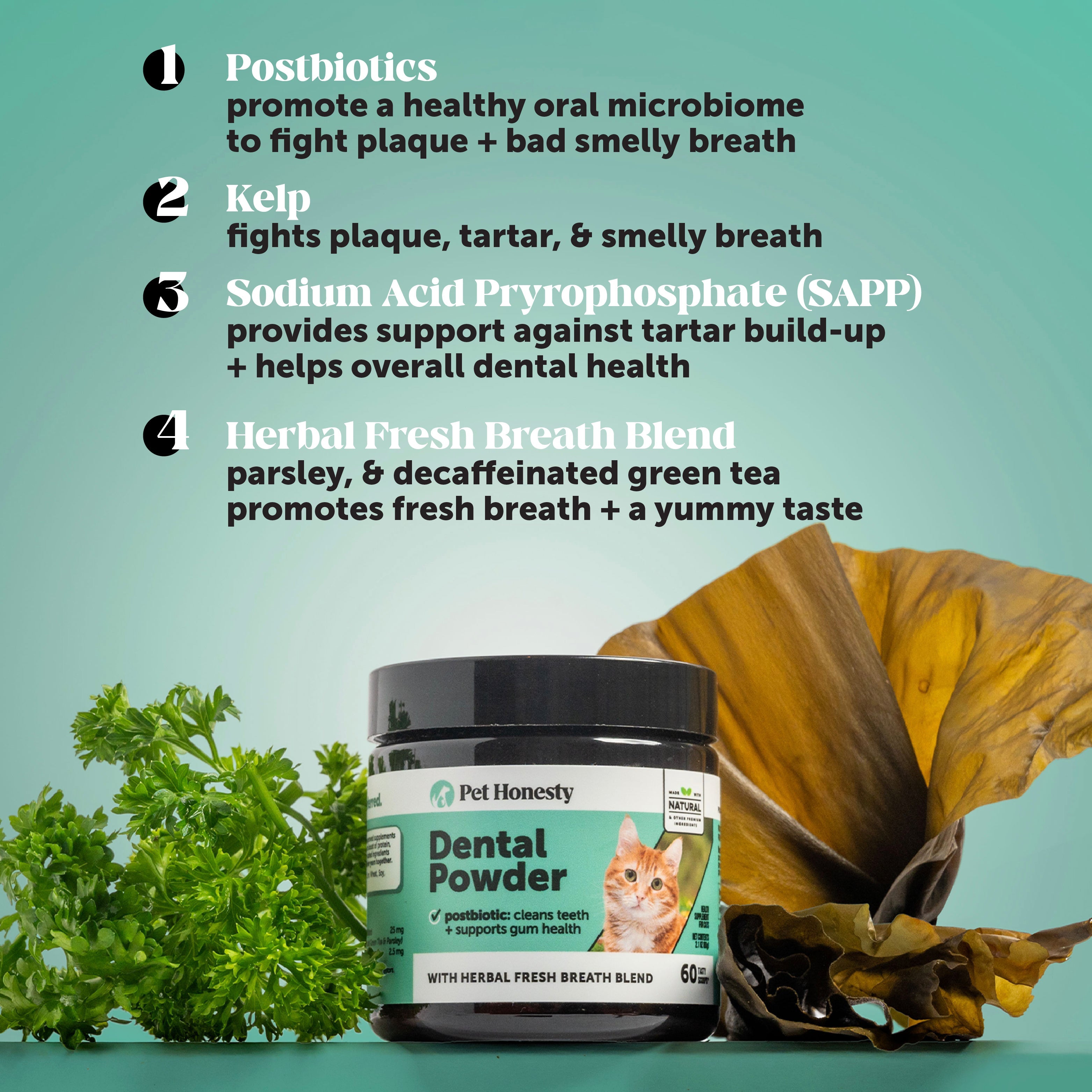 Cat Dental Supplement product image 3