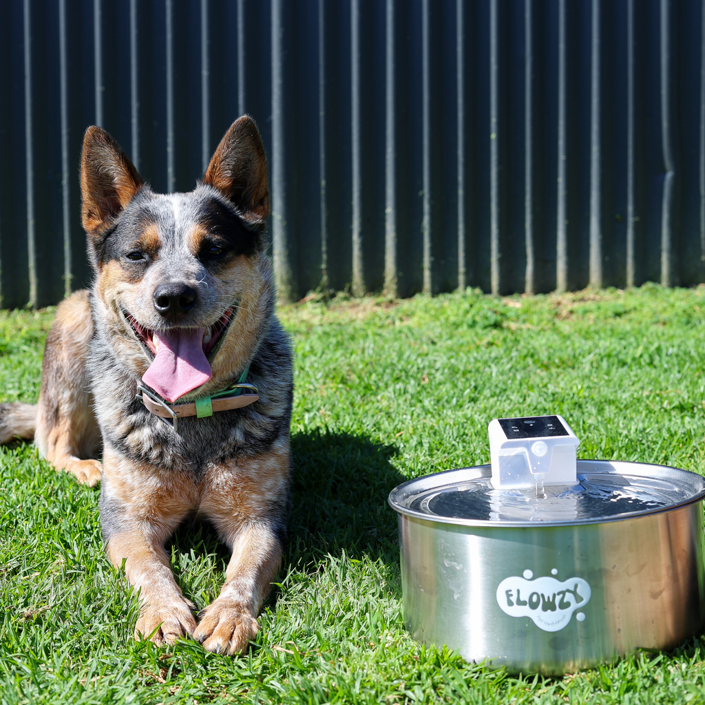 Rechargeable Outdoor Dog Water Fountain product image 3