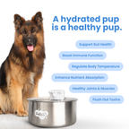 Rechargeable Outdoor Dog Water Fountain product image 4