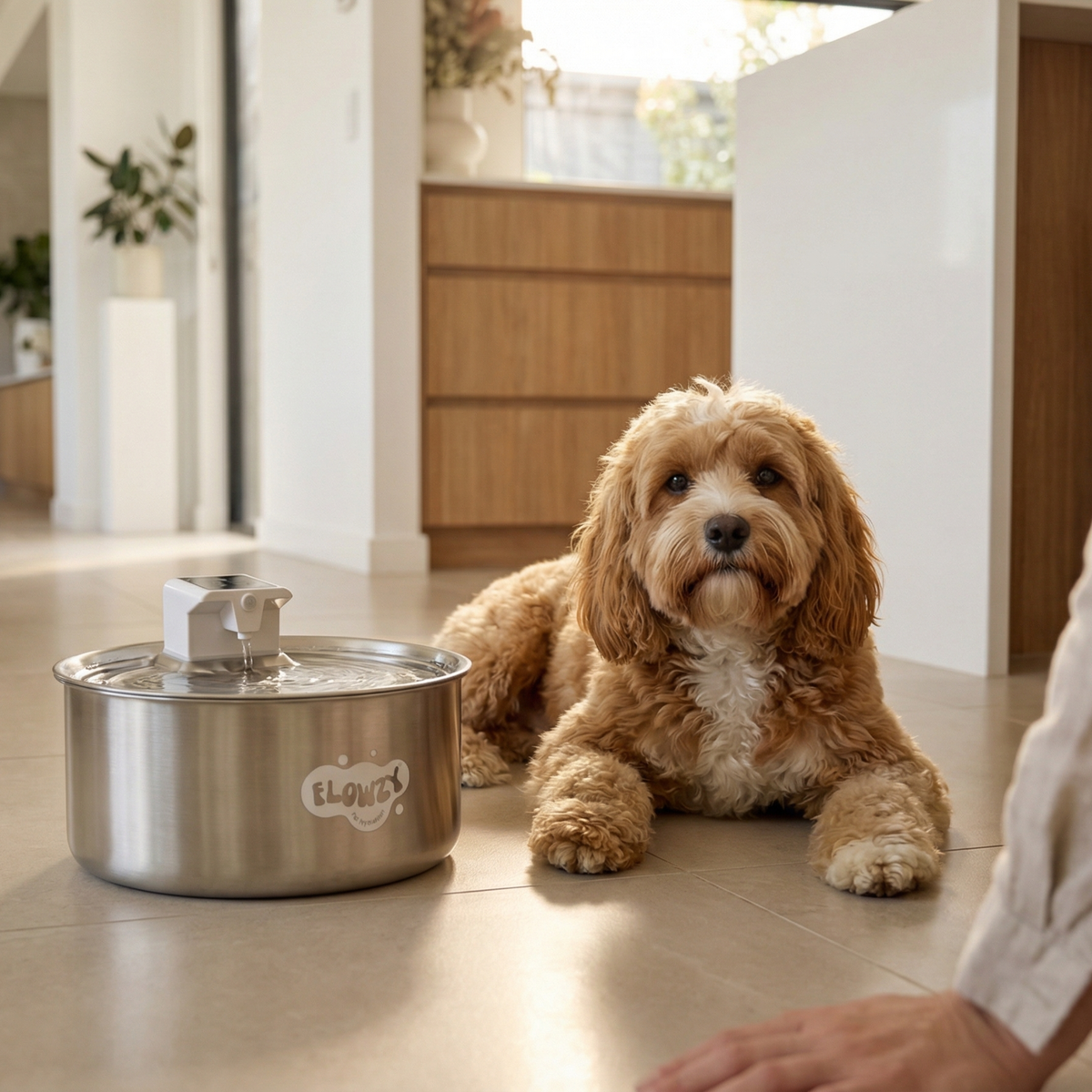 Rechargeable Outdoor Dog Water Fountain product image 5