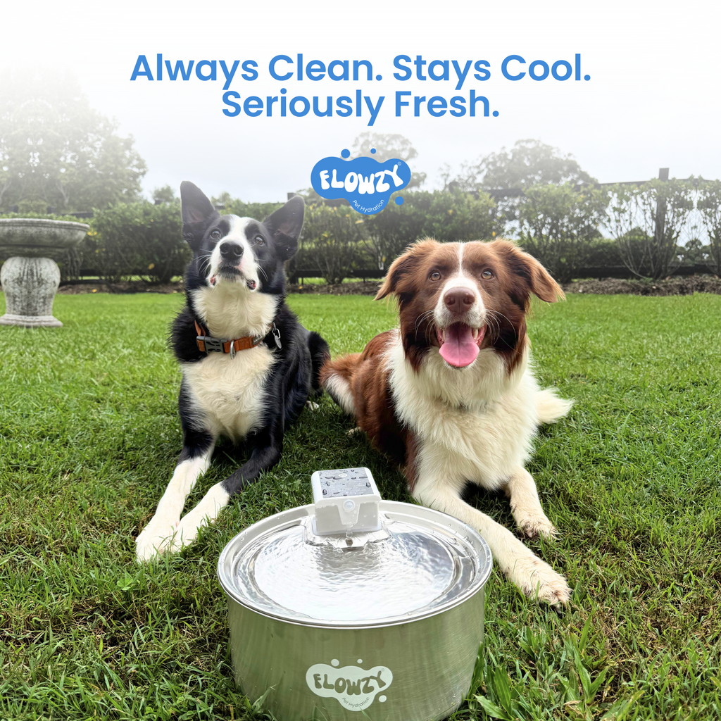 Rechargeable Outdoor Dog Water Fountain product image 10