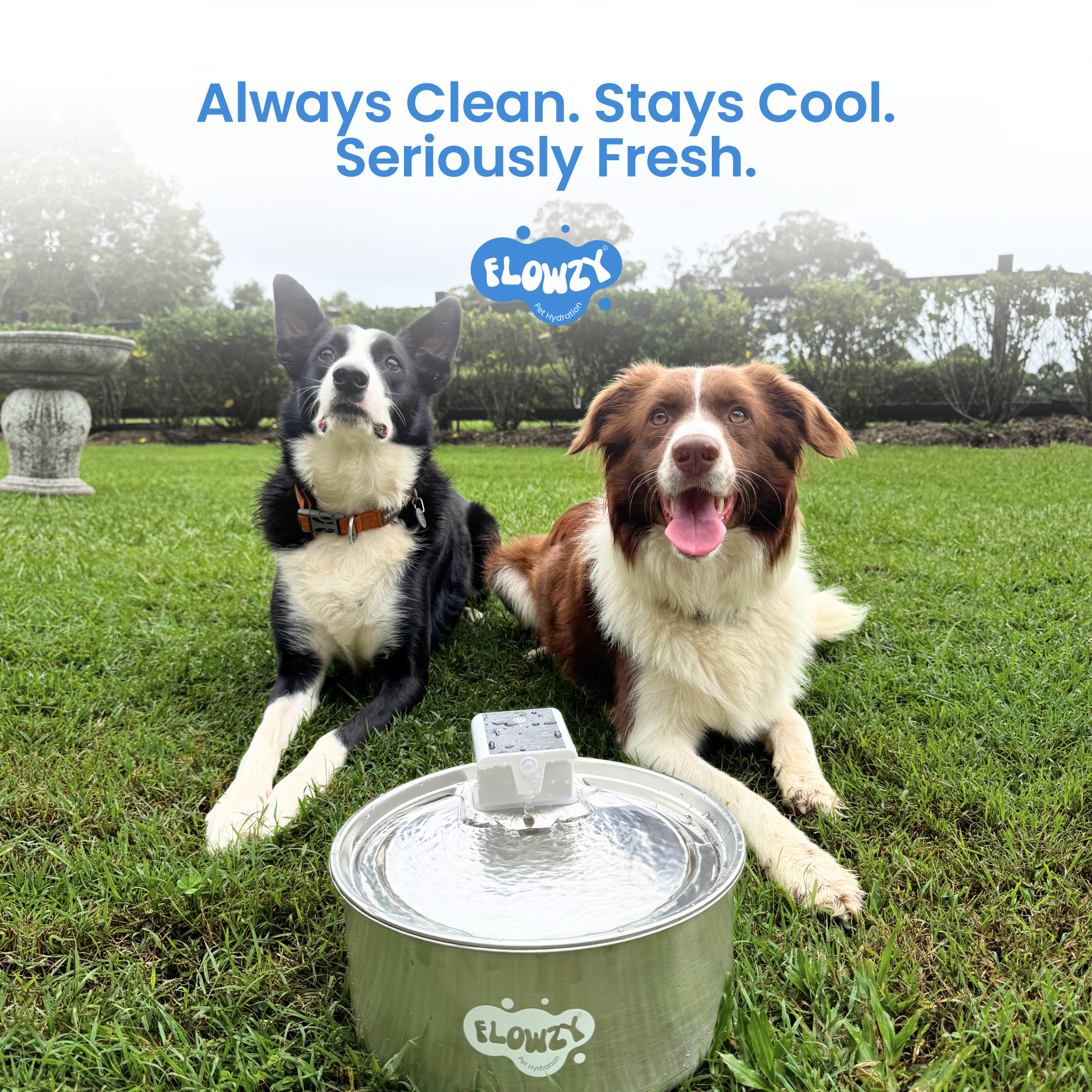 Rechargeable Outdoor Dog Water Fountain product image 10