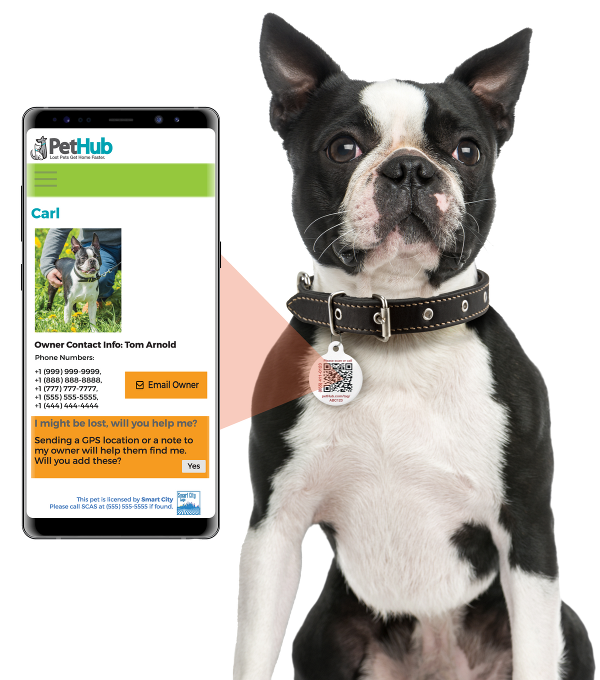 QR Pet ID Tag product image 2