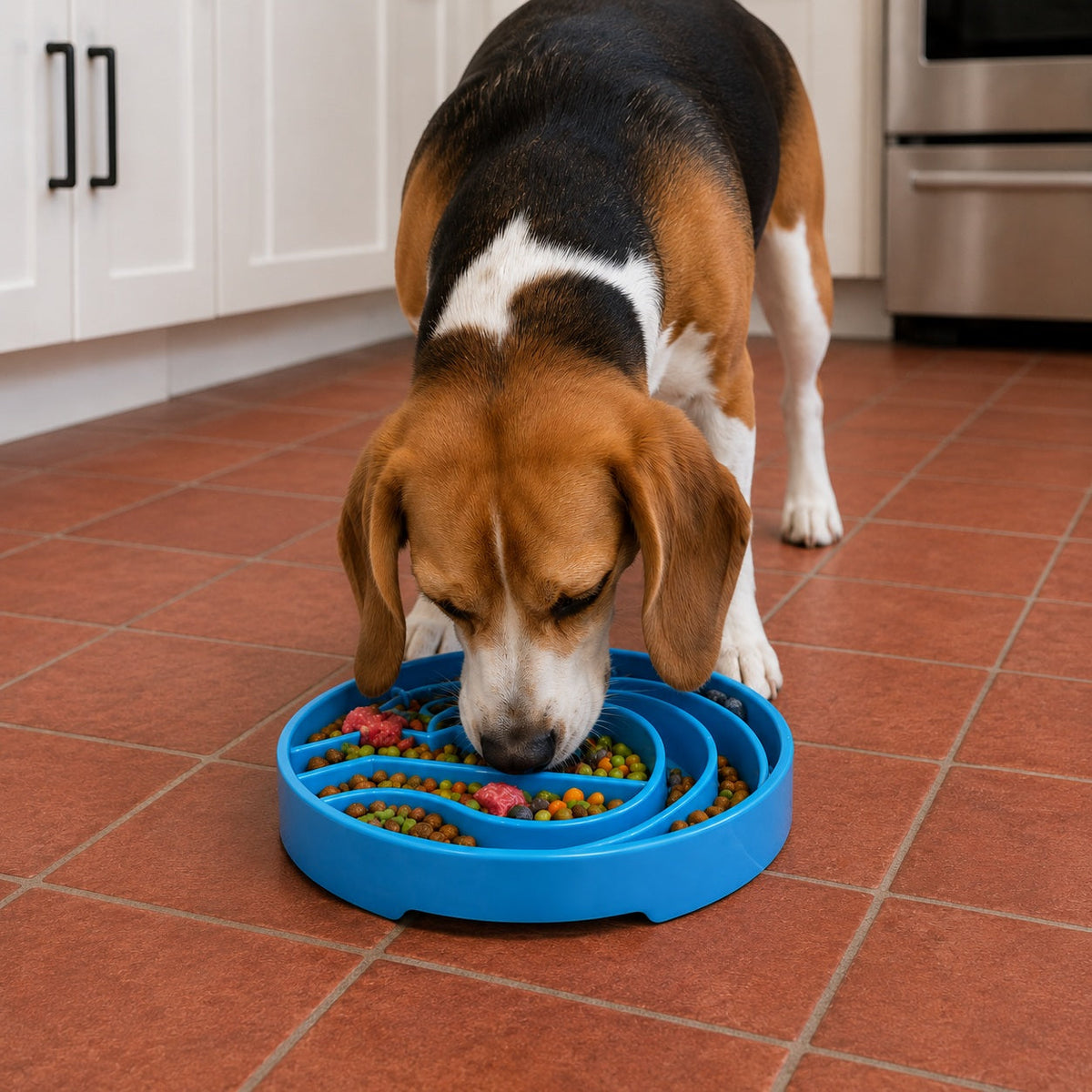 Slow Feeder Bowl product image 10