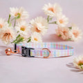 Pet Collar product image 1