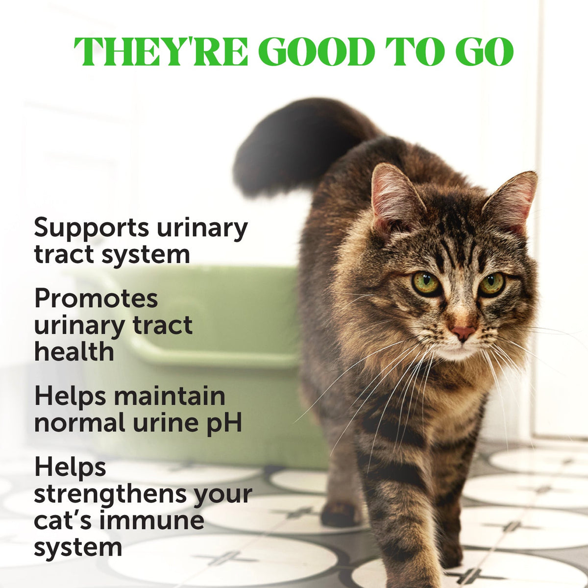 Cat Urinary Tract Supplement product image 2