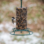 Compressed Sunflower and Pecan Wild Bird Food Cylinder product image 5