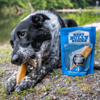 A black and white dog chews on a treat from the Best Bully Sticks Hickory Smoked Sampler Box next to a blue bag outdoors near a lake.