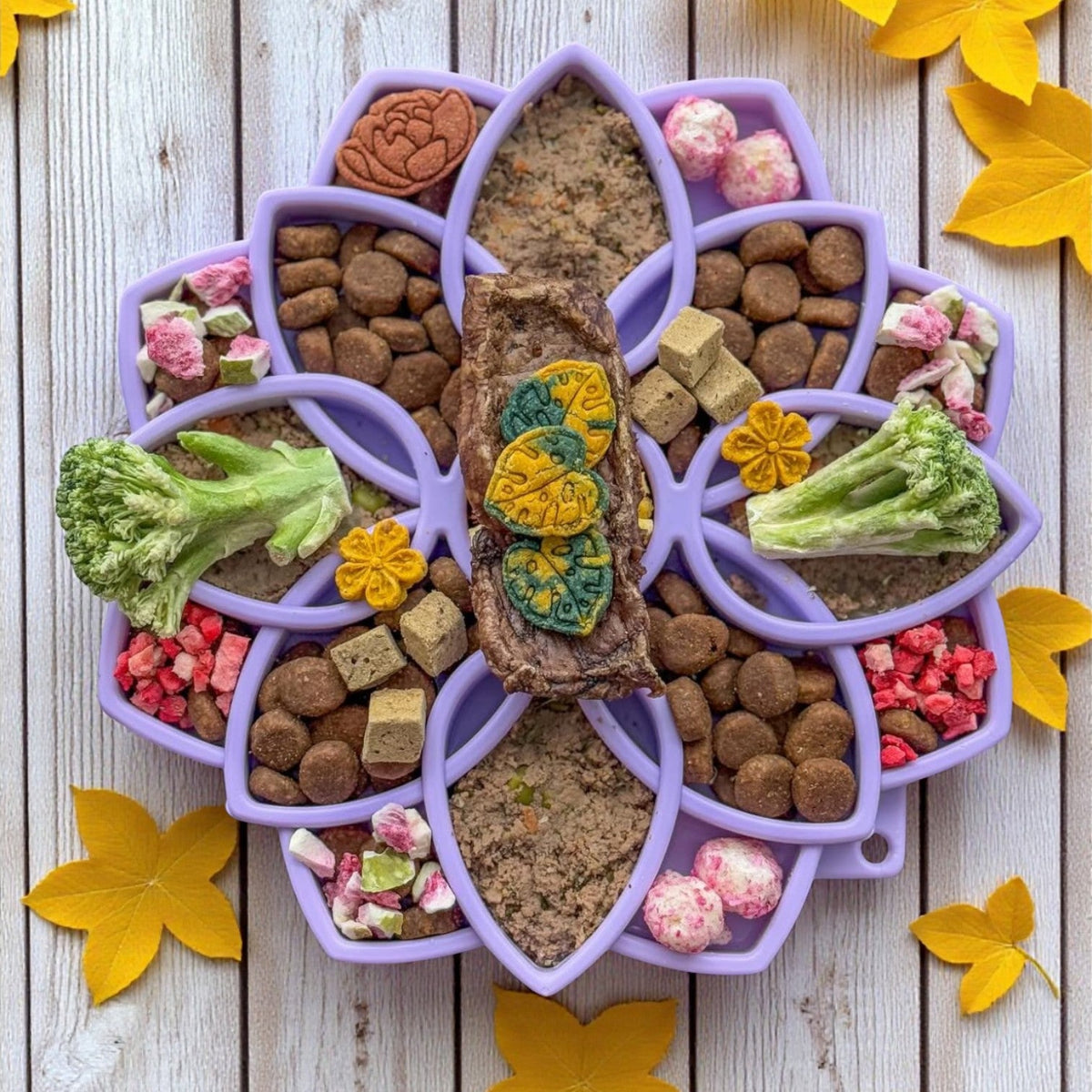 Slow Feeder Bowl product image 2