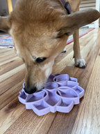 Slow Feeder Bowl product image 9