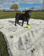 Pet Blanket product image 2