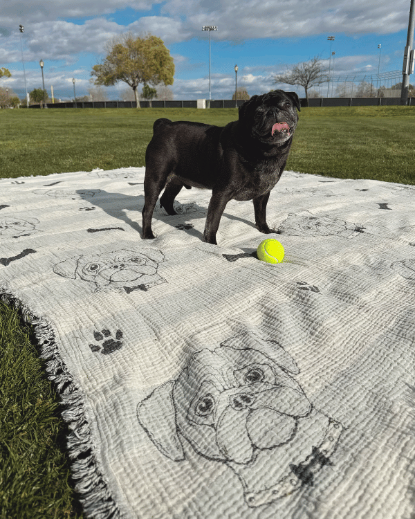Pet Blanket product image 2
