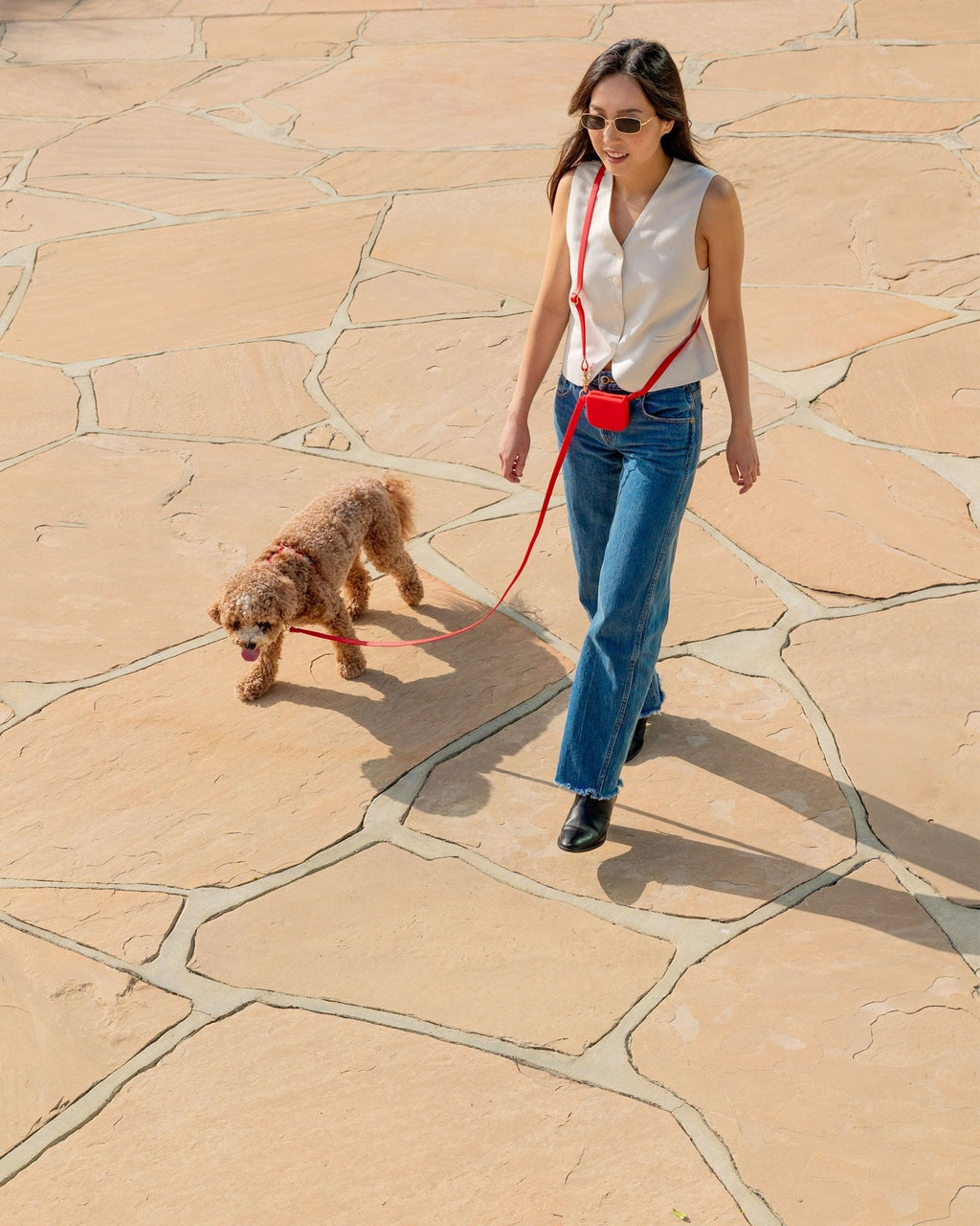 Hands-Free Dog Leash product image 2