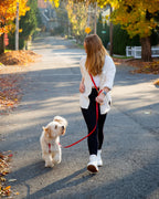 Hands-Free Dog Leash product image 4