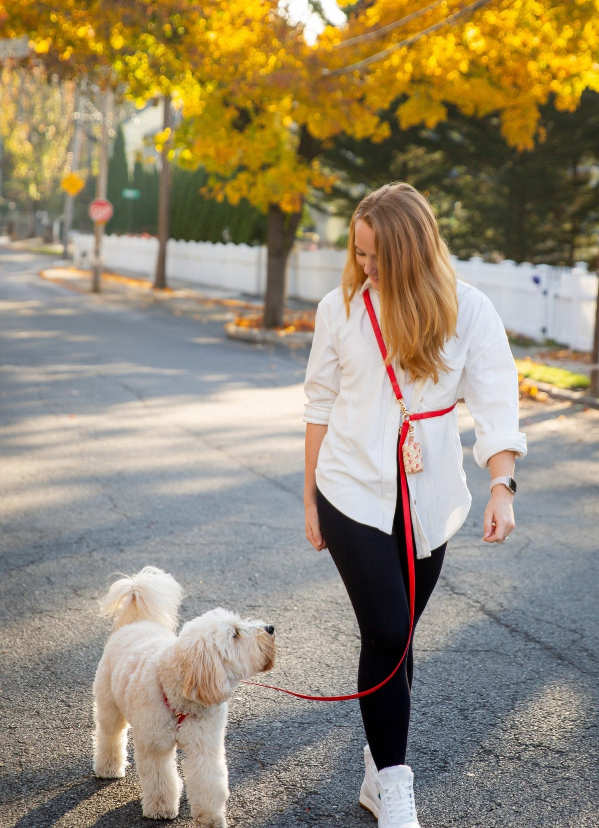 Hands-Free Dog Leash product image 8