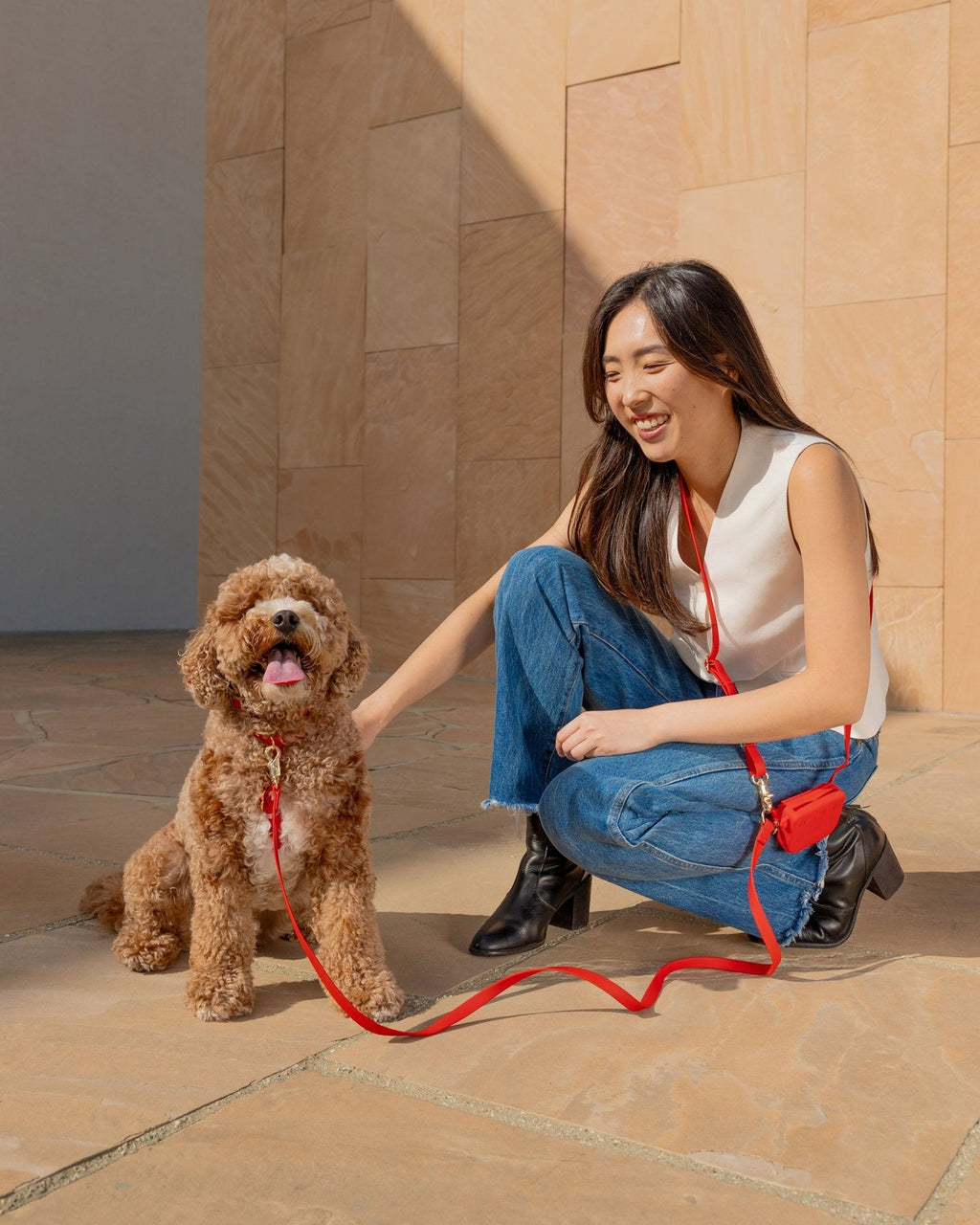 Hands-Free Dog Leash product image 9